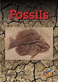 Enlarge image Cover: Fossils - Rainbow Reading Programme