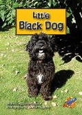 Cover: Little Black Dog - Rainbow Reading Programme