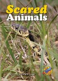 Enlarge image Cover: Scared Animals - Rainbow Reading Programme