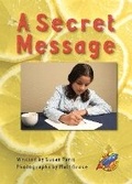 Cover: A Secret Message - Rainbow Reading Programme