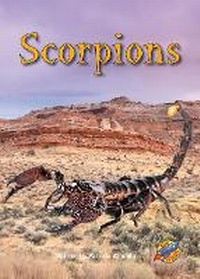 Enlarge image Cover: Scorpions - Rainbow Reading Programme