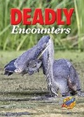 Cover: Deadly Encounters - Rainbow Reading Programme