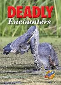 Enlarge image Cover: Deadly Encounters - Rainbow Reading Programme