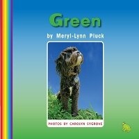 Enlarge image Cover: Green - Rainbow Reading Programme