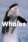 Cover: Whales - Rainbow Reading Programme
