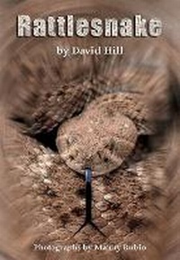 Enlarge image Cover: Rattlesnake - Rainbow Reading Programme