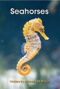 Cover: Seahorses - Rainbow Reading Programme