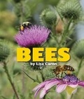 Cover: Bees - Rainbow Reading Programme
