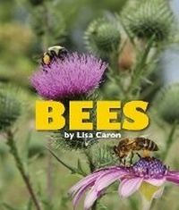 Enlarge image Cover: Bees - Rainbow Reading Programme