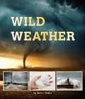 Cover: Wild Weather - Rainbow Reading Programme