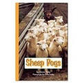 Cover: Sheep Dogs - Rainbow Reading Programme