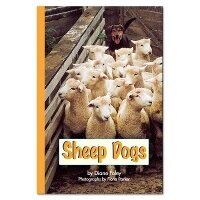 Enlarge image Cover: Sheep Dogs - Rainbow Reading Programme