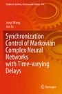 Cover: Synchronization Control of Markovian Complex Neural Networks with Time-varying Delays - Springer