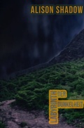 Cover: Labyrinth der Dunkelheit - epubli