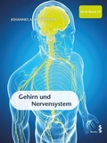 Abbildung von: Gehirn und Nervensystem - Facultas