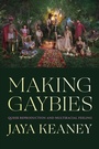 Cover: Making Gaybies - De Gruyter
