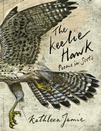 Enlarge image Cover: The Keelie Hawk - Picador