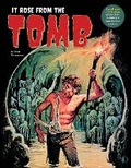 Cover: It Rose From The Tomb - TwoMorrows Publishing