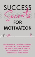 Cover: Success Secrets for Motivation - Panoma Press