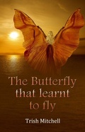 Cover: The Butterfly that learnt to fly - Trish Mitchell