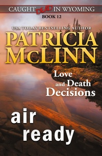 Abbildung von: Air Ready (Caught Dead in Wyoming, Book 12) - Craig Place Books