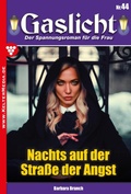 Cover: Nachts auf der Stra&szlig;e der Angst - Blattwerk Handel GmbH
