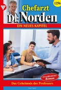 Cover: Das Geheimnis des Professors - Blattwerk Handel GmbH