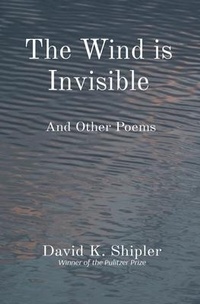 Enlarge image Cover: The Wind is Invisible - Stone Lantern Books