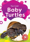 Cover: Baby Turtles - Blastoff! Beginners