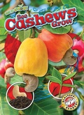 Cover: See Cashews Grow - Blastoff! Readers