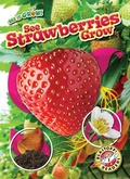 Cover: See Strawberries Grow - Blastoff! Readers