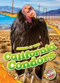 Cover: California Condors - Blastoff! Readers