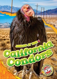 Enlarge image Cover: California Condors - Blastoff! Readers