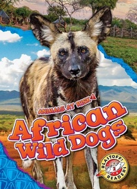 Enlarge image Cover: African Wild Dogs - Blastoff! Readers