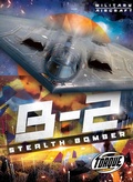 Cover: B2 Stealth Bomber - Torque