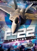Cover: F22 Raptor - Torque
