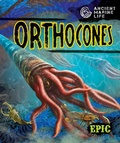 Cover: Orthocones - Bellwether Media