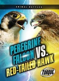 Cover: Peregrine Falcon vs. Red-Tailed Hawk - Torque