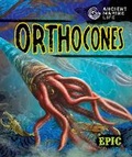 Cover: Orthocones - Epic