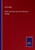 Cover: Scenes and Incidents in the Western Prairies - Salzwasser Verlag