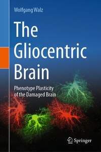 Abbildung von: The Gliocentric Brain - Springer