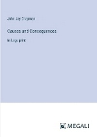 Enlarge image Cover: Causes and Consequences - Megali Verlag