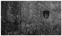 Enlarge image Cover: KAI - Edition_