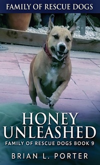 Enlarge image Cover: Honey Unleashed - Next Chapter