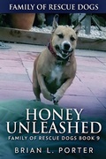 Cover: Honey Unleashed - Next Chapter