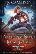 Cover: Never Say Never To A Dragon - Lmbpn Publishing