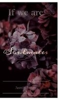 Cover: If we are Soulmates - tredition