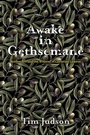 Cover: Awake in Gethsemane - Baylor University Press