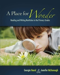 Enlarge image Cover: A Place for Wonder - Taylor & Francis
