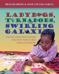 Abbildung von: Ladybugs, Tornadoes, and Swirling Galaxies - Taylor & Francis